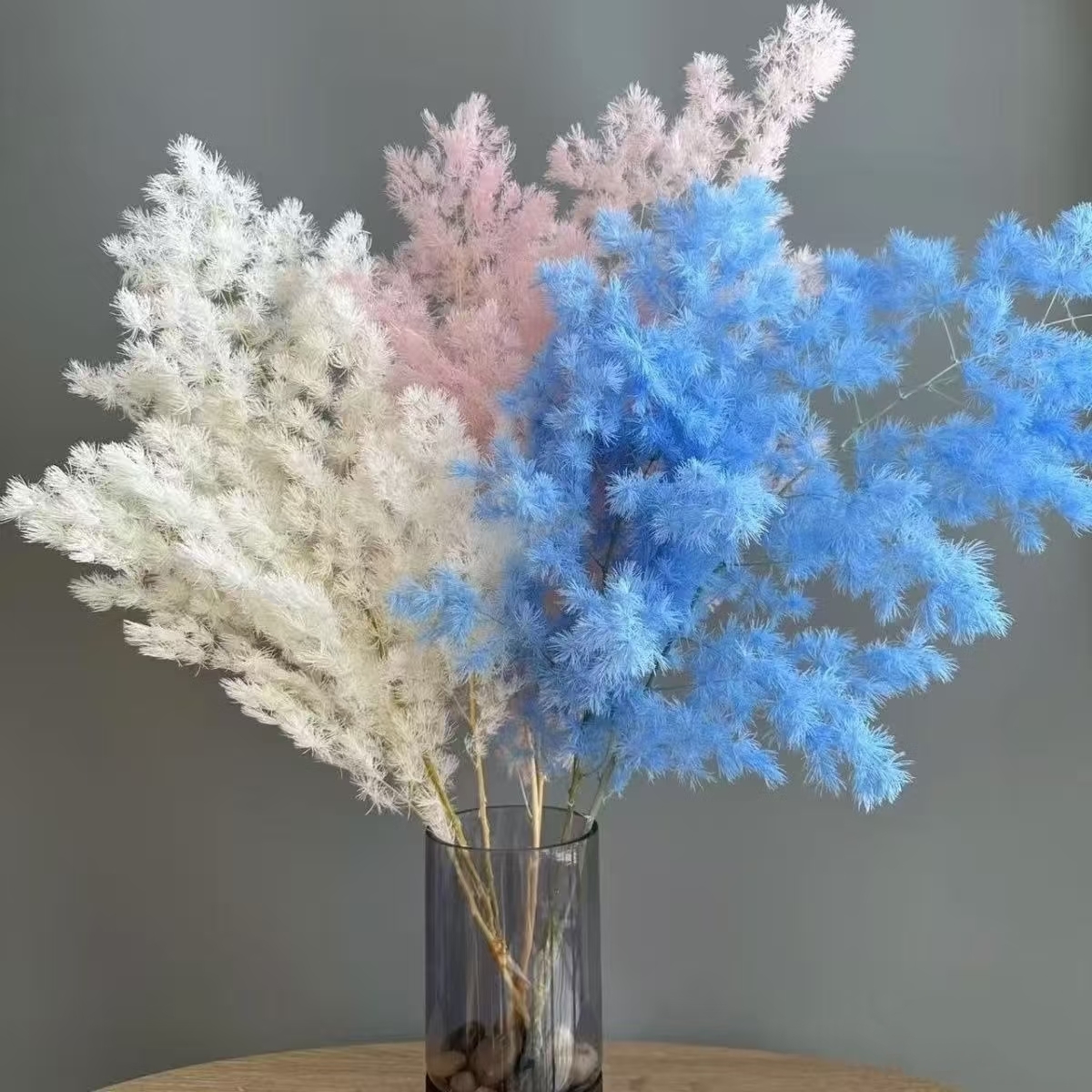 Preserved Asparagus Fern